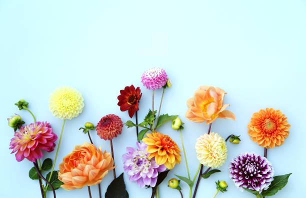 種花